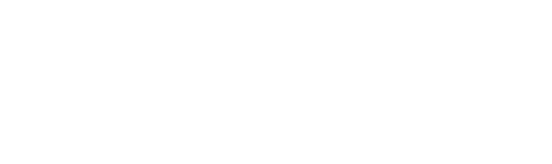Konquis